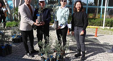 Antalya Büyükşehir Belediyesi'nden Serikli çiftçilere 700 zeytin fidanı