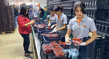Antalya Hali'nin yükünü kadınlar çekiyor