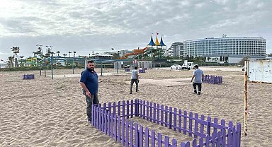 Antalya'da Kum Zambaklarına çitli koruma