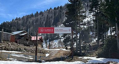 Artvin'de aç kalan ayılar kayak tesisine dadandı