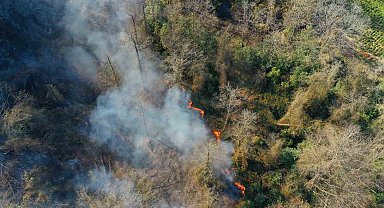 Artvin'de çıkan orman yangınında bir kişi gözaltına alındı