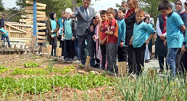 Atıl arazi seraya dönüştürüldü, öğrenciler tarımsal üretime başladı
