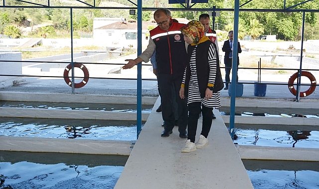 Aydın'da 2023 yılında balık ihracatından 230 milyon dolar gelir elde edildi