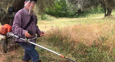 Aydın'da kuru otlar temizleniyor