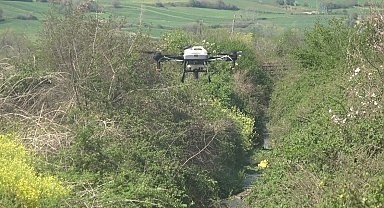 Bafra Ovası'nda dron destekli sivrisinek mücadelesi