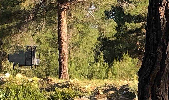 Bağ evinde korkunç ölüm: Boşanma aşamasındaki çift intihar etti