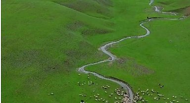 Bahar geldi, yeşillikler arasındaki menderesler hayran bıraktı