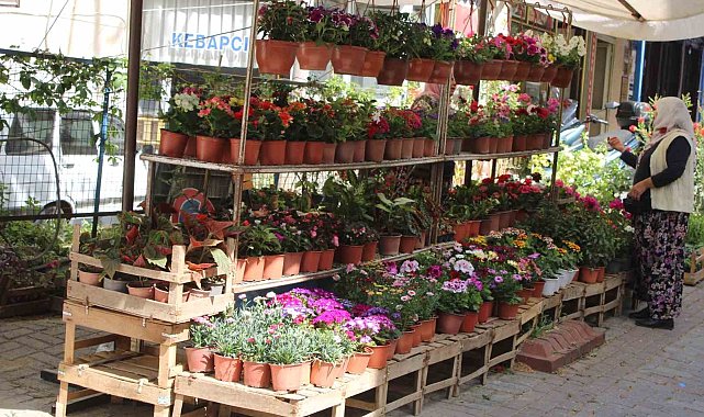 Baharın gelmesiyle birlikte rengarenk çiçekler görücüye çıktı