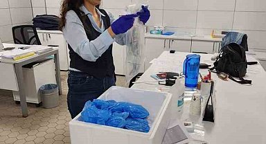 Balık ihracatı bayramda da devam etti