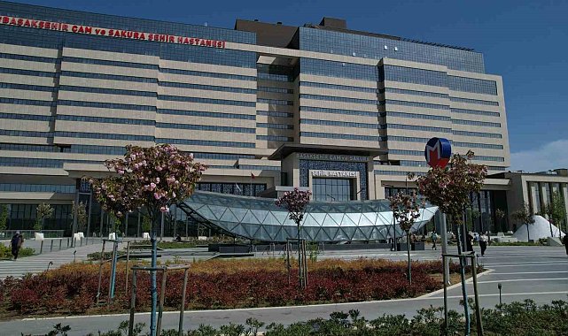 Başakşehir Şehir Hastanesi'nin sakuraları çiçek açtı