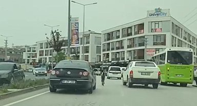 Başıboş tay trafiği karıştırdı