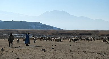 Besiciler meraları kiralayabilmek için kıyasıya yarıştı