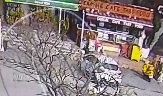 Beylikdüzü'nde pitbull cinsi köpeğin saldırısında dehşet anları kameraya yansıdı
