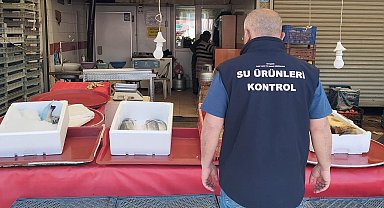 Beyşehir'de balık işleme tesisleri ve balık satış yerleri denetlendi