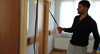 Bilecik'te sağlık ocağına giren yılan panik yaşattı