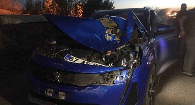 Bingöl'de otomobilin çarptığı inek telef oldu