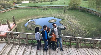 Bingöl'ün doğa harikası yüzen adalar yaz aylarıyla birlikte yeşile büründü