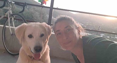 Bodrum'da kedi ve köpek katliamı