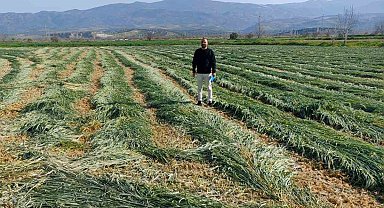 Bozdoğan'da ilçe tarım kaba yemin önemine dikkat çekti
