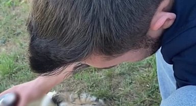 Bu kadarına da pes: Köpeğe alkol içirerek o anları sosyal medya hesabından paylaştı