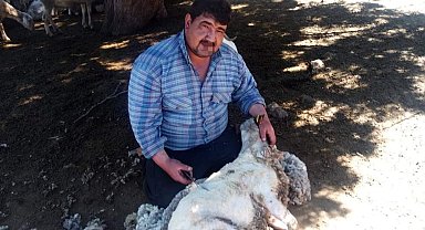 Burdur'da devrilen traktörün altında kalan 1 kişi öldü, 2 kişi yaralandı