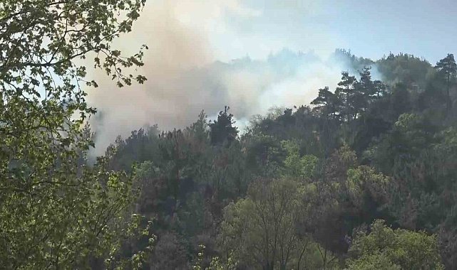 Bursa'da ormanlık alanda çıkan yangın kontrol altına alındı