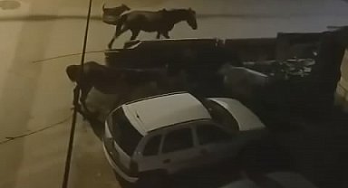 Bursa'da sokaklar gündüz insanlara, gece atlara kalıyor