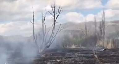 Çankırı'da arazi yangını