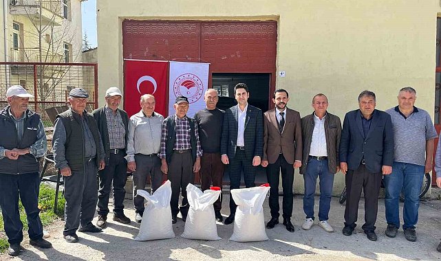 Çavdarhisar'da çiftçilere yüzde 50 hibeli 37 bin 500 kilogram nohut tohumu dağıtıldı