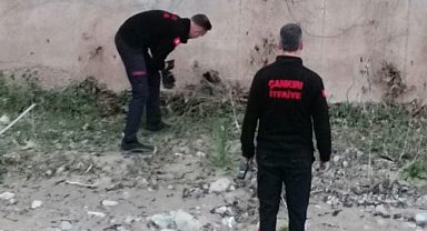 Çaya düşen yavru köpek kurtarıldı