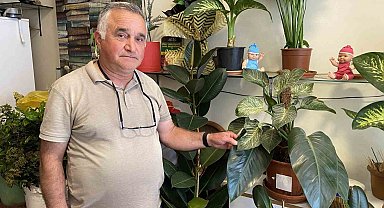 Çiçekçilerden yazlık bakım uyarısı