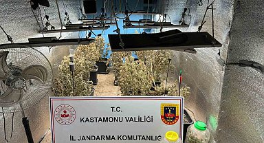 Çiftlik evlerini kenevir serasına çevirmişler: 4 gözaltı