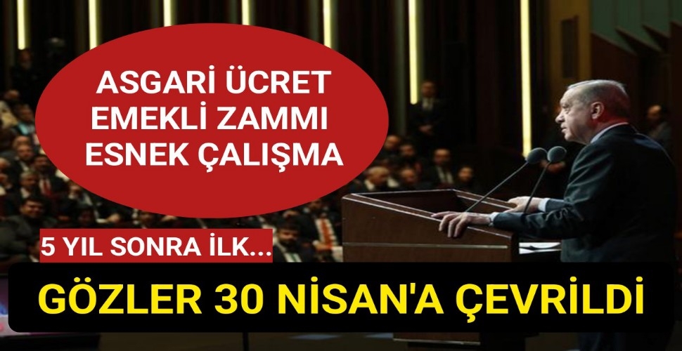 Cumhurbaşkanı Erdoğan 30 Nisan'da açıklayacak