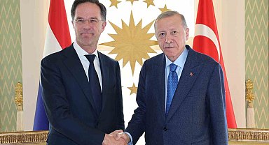 Cumhurbaşkanı Erdoğan, Hollanda Başbakanı Rutte'yi kabul etti
