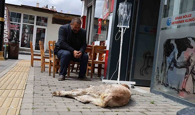 Dana Umut'un sahibinin merhameti görenlerin içini ısıttı