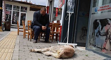 Dana Umut'un sahibinin merhameti görenlerin içini ısıttı