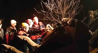 Dere yatağına düşerek mahsur kalan inek kurtarıldı