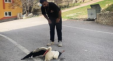 Derebucak'ta akıma kapılan leylek yaralandı