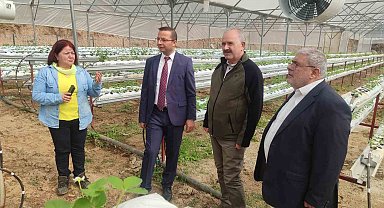 Devlet desteği ile kuruldu: Kadınlar modern serada üretime başladı