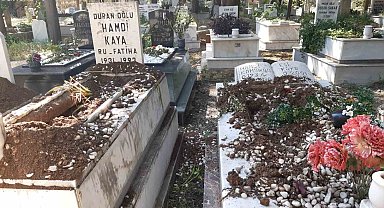 Domuzlar şimdi de mezarlara dadandı