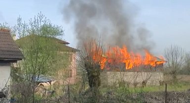 Düzce'de ahır ve samanlık yangını: 3 hayvan telef oldu