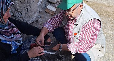 Emet'te kanatlı hayvanlardan kan ve swap numuneleri alındı