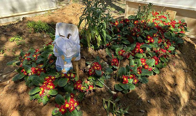 En acı bayram, Oğuz Murat Aci'nin eşi ve babası mezarı başında gözyaşlarıyla anlattı: "Oğlum hiçbir zaman babasının elini öpemeyecek"