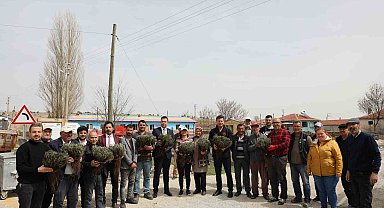 Eskişehir'de atıl tarım arazileri 590 bin lavanta ile renkleniyor