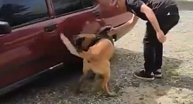 Eskişehir'den araç çalan şüpheliler Söğüt'te yakalandı
