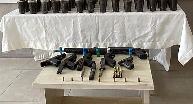 Evde yapılan operasyonda 580 kök kenevir bitkisi ele geçirildi