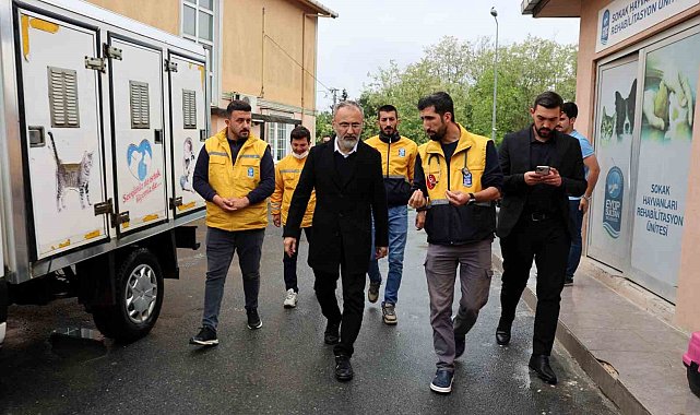 Eyüpsultan'da sokak hayvanlarına yönelik çalışmalar sürdürülüyor