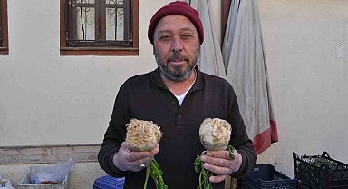 Faydaları saymakla bitmeyen kerevize pazarda ilgi yoğun