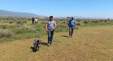 Fermalı av köpekleri 3'üncü kez yarıştı