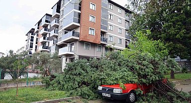 Fırtınada devrilen ağaç, aracın üstüne düştü